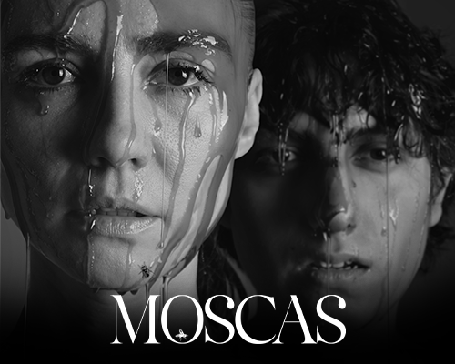Moscas