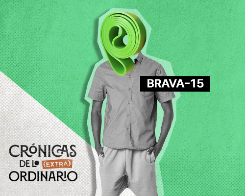 BRAVA 15